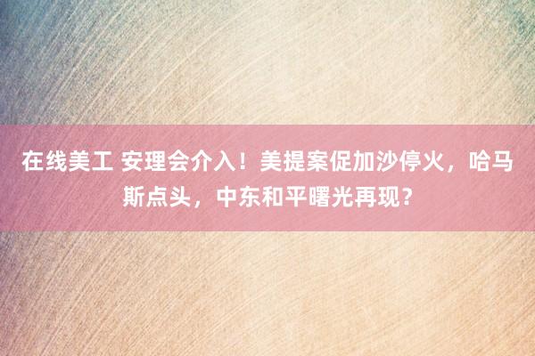 在线美工 安理会介入！美提案促加沙停火，哈马斯点头，中东和平曙光再现？