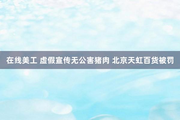 在线美工 虚假宣传无公害猪肉 北京天虹百货被罚