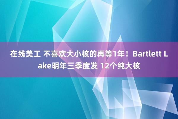 在线美工 不喜欢大小核的再等1年！Bartlett Lake明年三季度发 12个纯大核