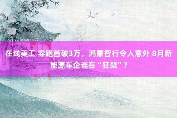 在线美工 零跑首破3万，鸿蒙智行令人意外 8月新能源车企谁在“狂飙”?