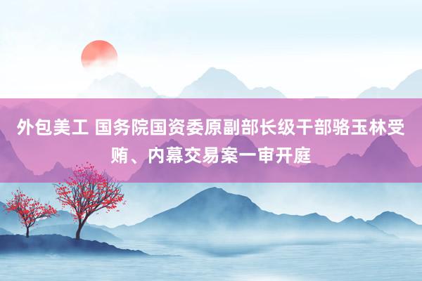 外包美工 国务院国资委原副部长级干部骆玉林受贿、内幕交易案一审开庭